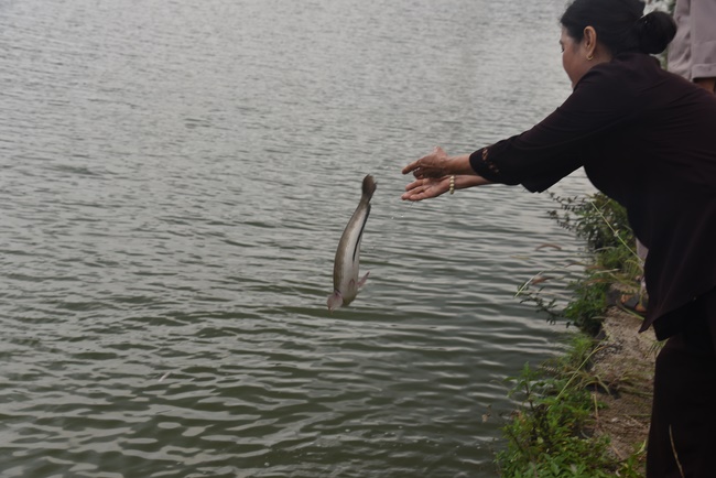 Offering the Buddha statue to Dac Phap Pagoda and releasing creatures.