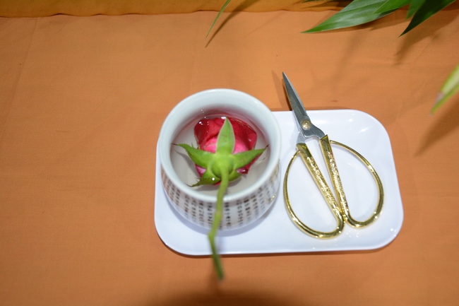 The first Ordination in 2019