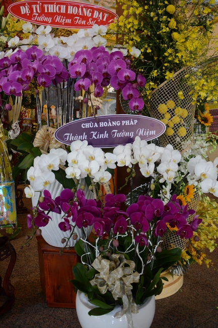 Ven. Thich Tri Tinh –  The  3rd Death Anniversary