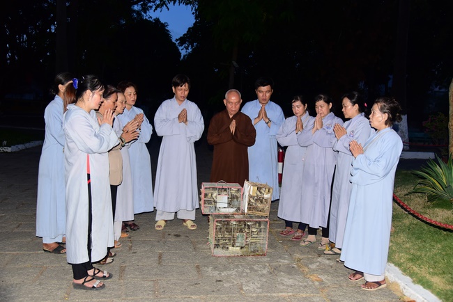 Praying for rebirth in Long An, Binh Duong and freeing creatures in Binh Thanh.