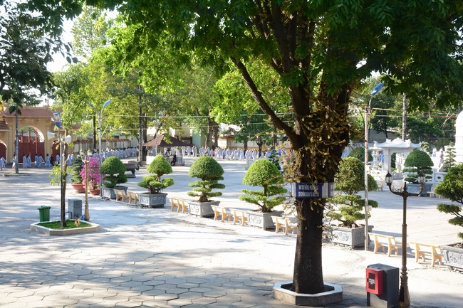 Dharma Talk “I Almost Forgot You, My Mind” --- The 91st Seven-Day Retreat