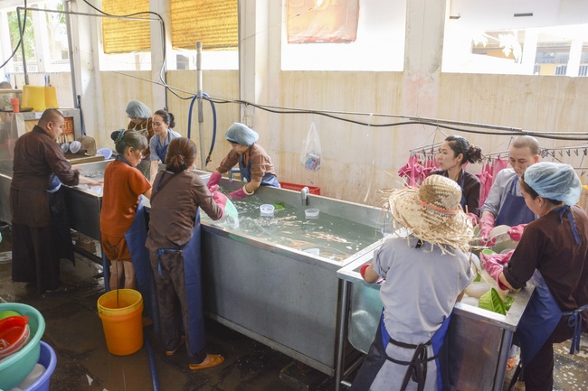 Dharma Talk “Making a Choice” --- The 91st Seven-Day Retreat