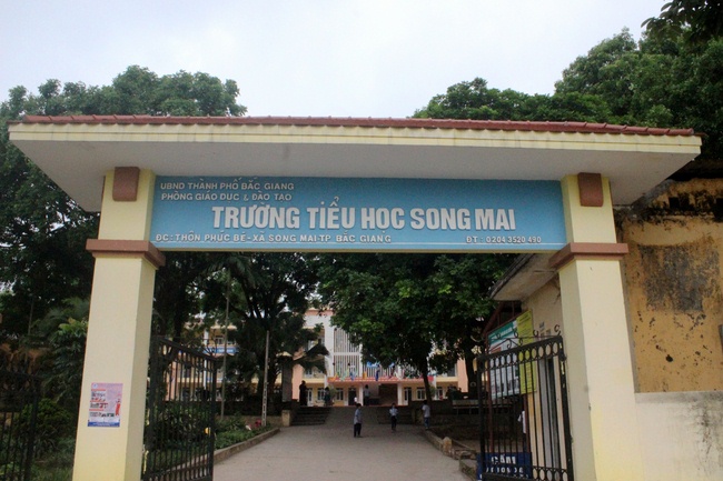 Tặng sách trường tiểu học Song Mai, Tp. Bắc Giang
