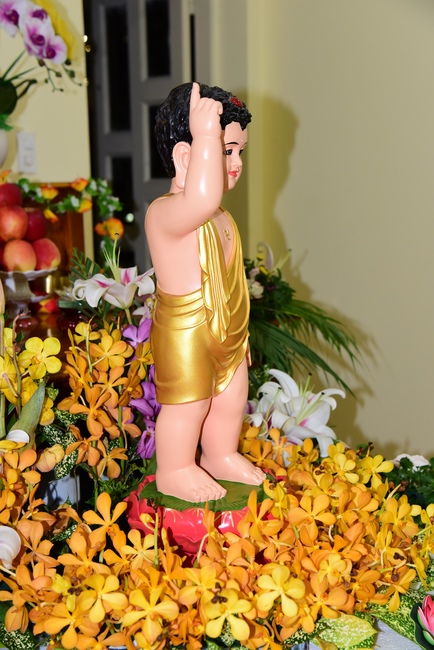 Trao bằng công đức mùa Phật đản tại tư gia Phật tử