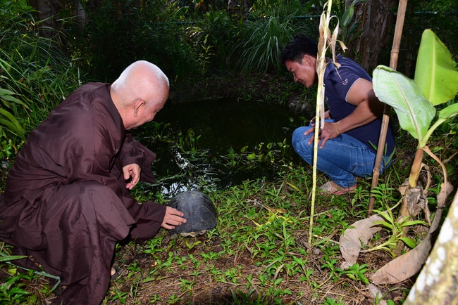 Rebirth praying ceremony, cremating and handing over two turtles Heosemys annandalii and Elongated tortoise.