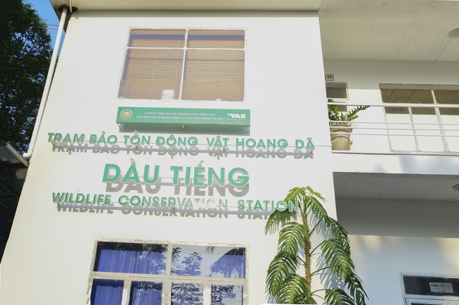 Rebirth praying ceremony, cremating and handing over two turtles Heosemys annandalii and Elongated tortoise.