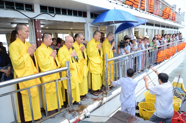 Releasing creatures on Hau river