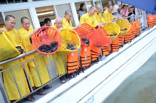 Releasing creatures on Hau river