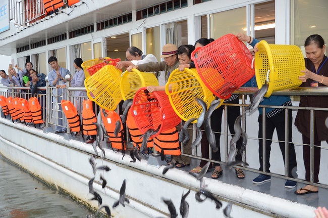Releasing creatures on Hau river