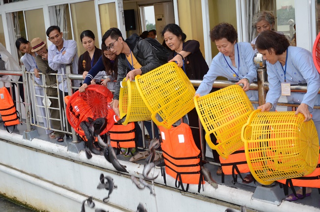 Releasing creatures on Hau river