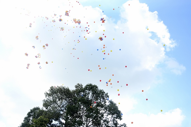 Impressive Vesak Ceremony at Hoang Phap temple