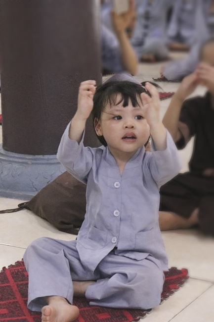 The playground “Sowing of Viet Lotus Seeds” at Hoa Phuc Pagoda