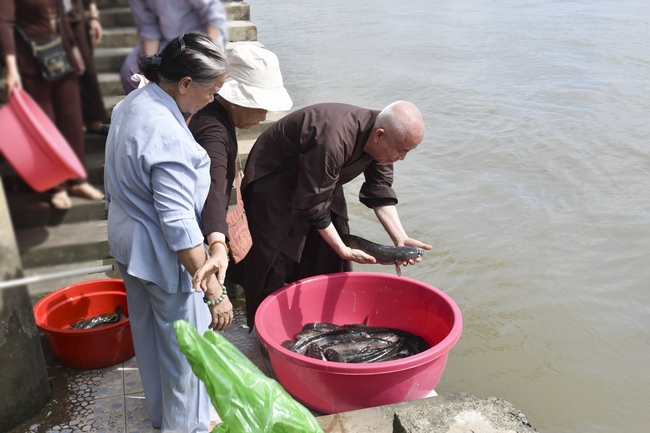 Freeing creatures in Can Tho