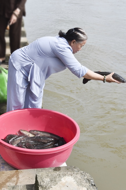 Freeing creatures in Can Tho