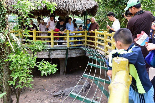 Visiting the zoo and releasing creatures at Bach Dang port