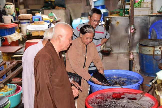 Visiting the zoo and releasing creatures at Bach Dang port
