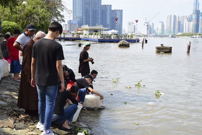 Visiting the zoo and releasing creatures at Bach Dang port