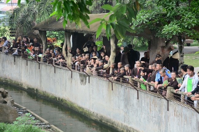 Các em xuất gia gieo duyên sinh hoạt ngoại khóa