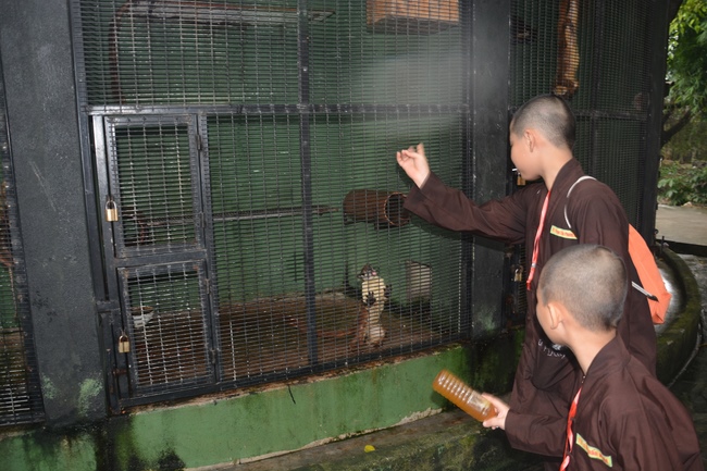 Các em xuất gia gieo duyên sinh hoạt ngoại khóa