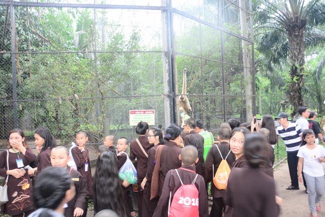 Các em xuất gia gieo duyên sinh hoạt ngoại khóa