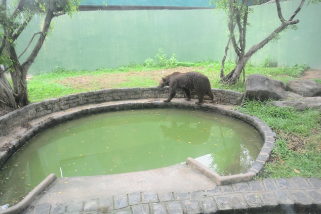 Các em xuất gia gieo duyên sinh hoạt ngoại khóa