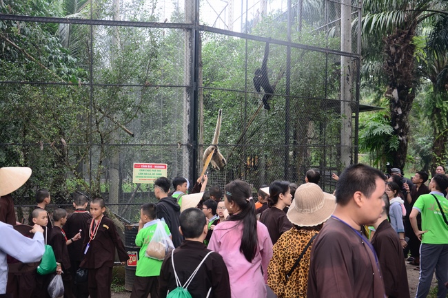 Các em xuất gia gieo duyên sinh hoạt ngoại khóa