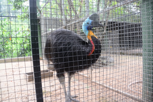 Các em xuất gia gieo duyên sinh hoạt ngoại khóa