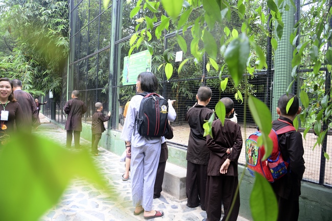 Các em xuất gia gieo duyên sinh hoạt ngoại khóa