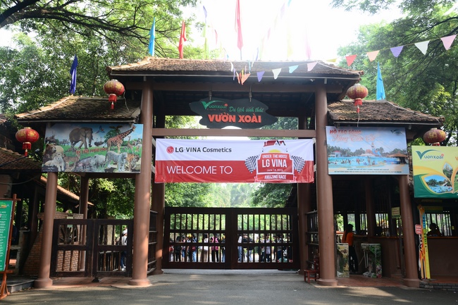 Các em xuất gia gieo duyên sinh hoạt ngoại khóa