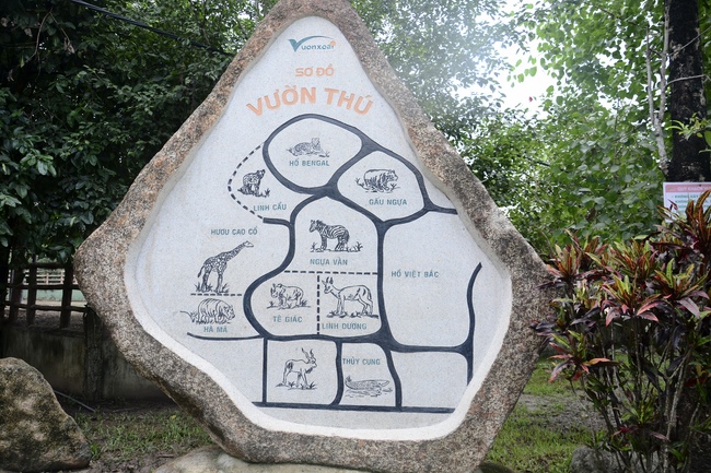 Các em xuất gia gieo duyên sinh hoạt ngoại khóa