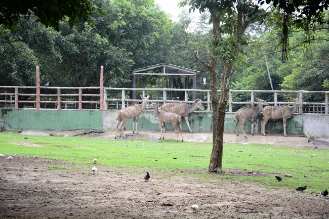 Các em xuất gia gieo duyên sinh hoạt ngoại khóa