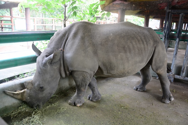 Các em xuất gia gieo duyên sinh hoạt ngoại khóa