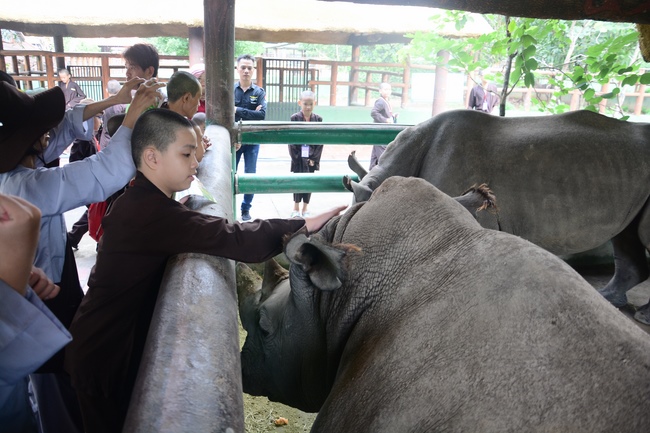 Các em xuất gia gieo duyên sinh hoạt ngoại khóa