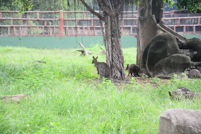 Các em xuất gia gieo duyên sinh hoạt ngoại khóa