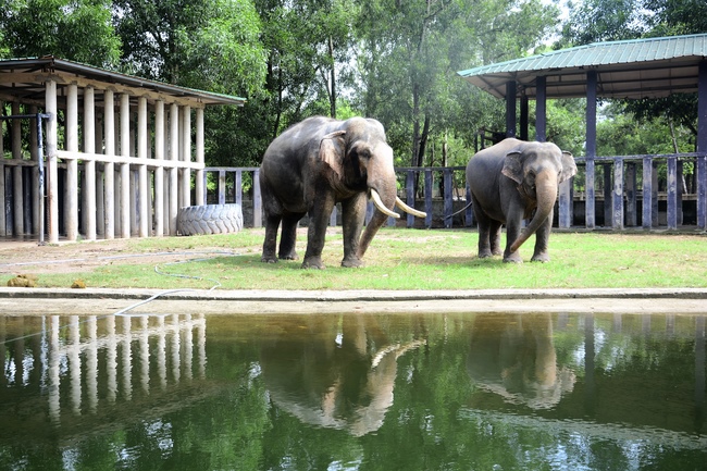 Các em xuất gia gieo duyên sinh hoạt ngoại khóa