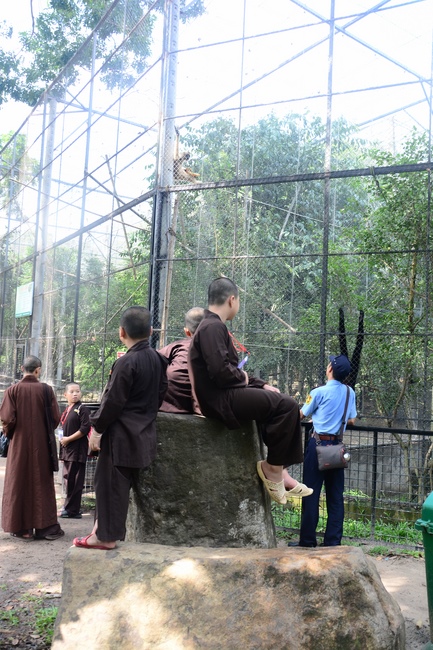 Các em xuất gia gieo duyên sinh hoạt ngoại khóa