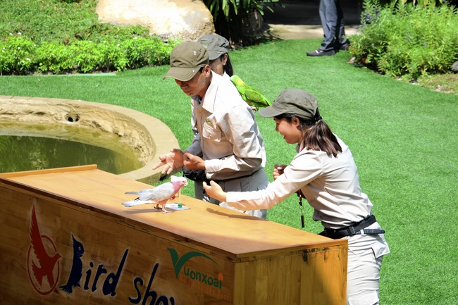 Các em xuất gia gieo duyên sinh hoạt ngoại khóa