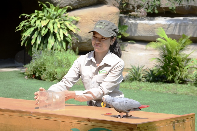 Các em xuất gia gieo duyên sinh hoạt ngoại khóa