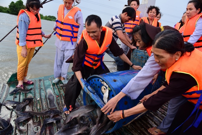 Freeing creatures at Ca Lang ferry and praying for rebirth.