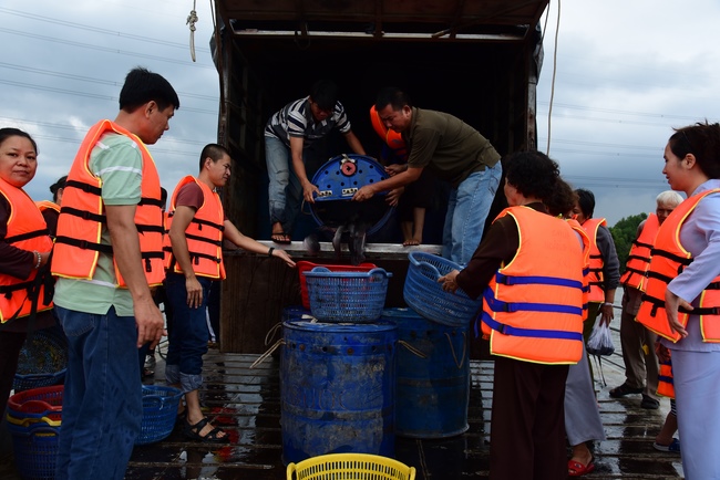 Freeing creatures at Ca Lang ferry and praying for rebirth.