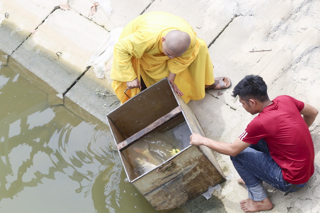 The retreat Sowing seeds lotus at Dong Cao Pagoda