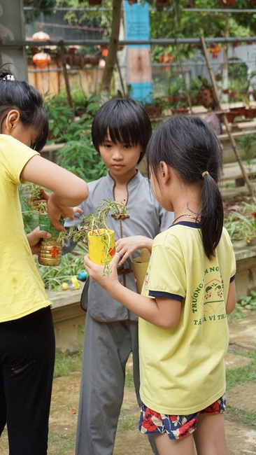 The activities at Hoa Phuc Pagoda