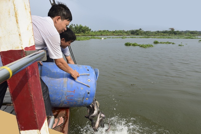 Attending the forty-nine days rite after death of Late Nun venerable Hanh Lien
