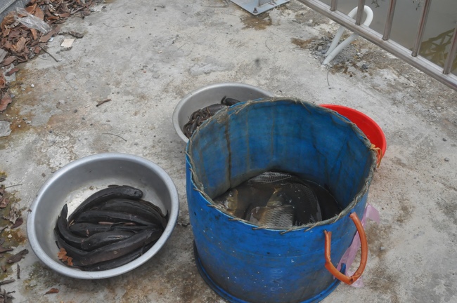 Awarding the 3rd scholarship “Helping Dream Come True.”