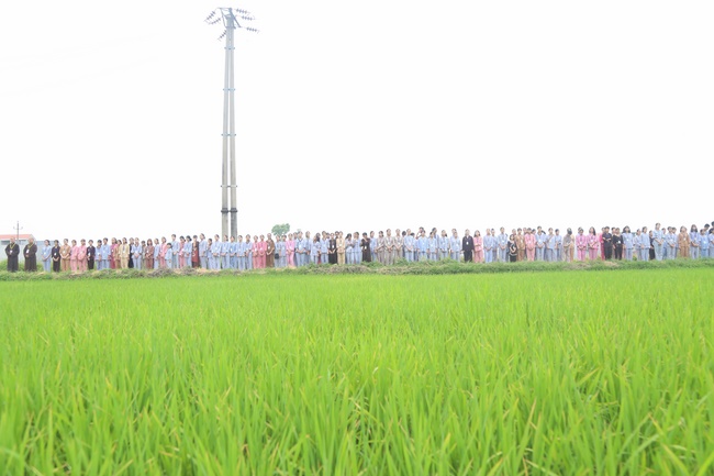 Beginning the Summer retreat at Dong Cao pagoda in Thanh Hoa