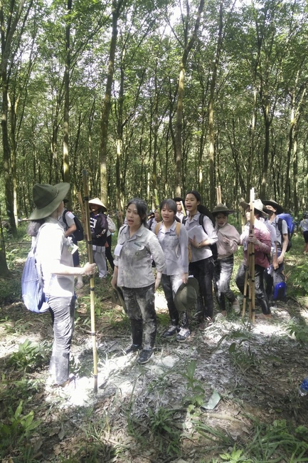 The Opening Ceremony of six-Harmony Camp of the Eighth time of Buddhist families in Binh Phuoc Province.