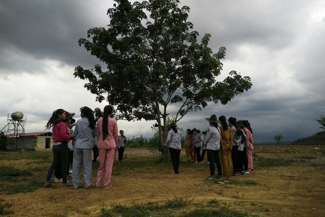 The Opening Ceremony of six-Harmony Camp of the Eighth time of Buddhist families in Binh Phuoc Province.