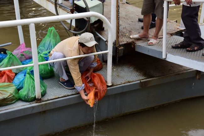 One-Day Practice in Can Tho