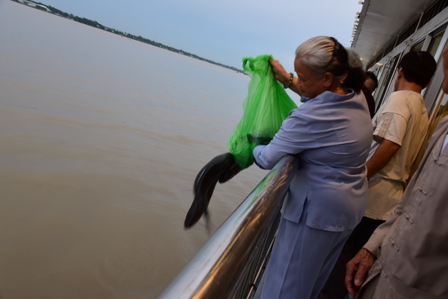 One-Day Practice in Can Tho