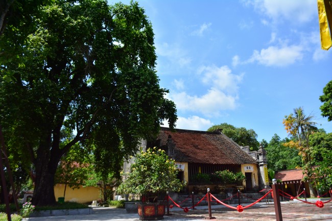 The 2nd summer retreat at Tay Khanh Pagoda